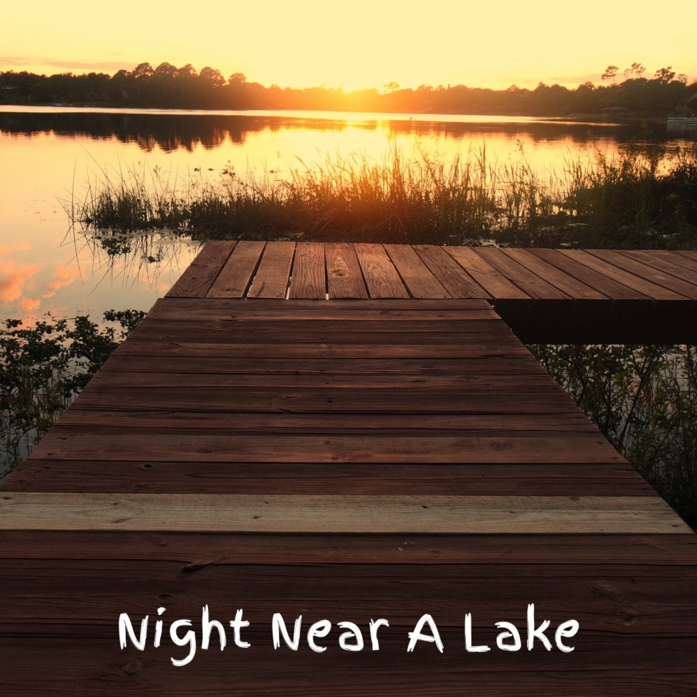 Night Near A Lake