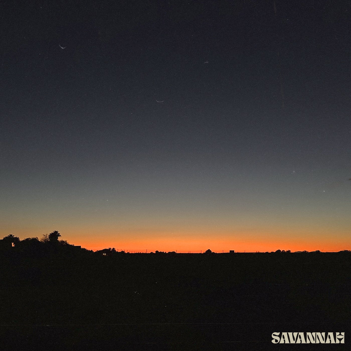 Savannah