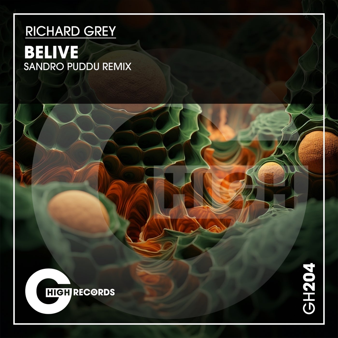 Believe  (Sandro Puddu Remix)