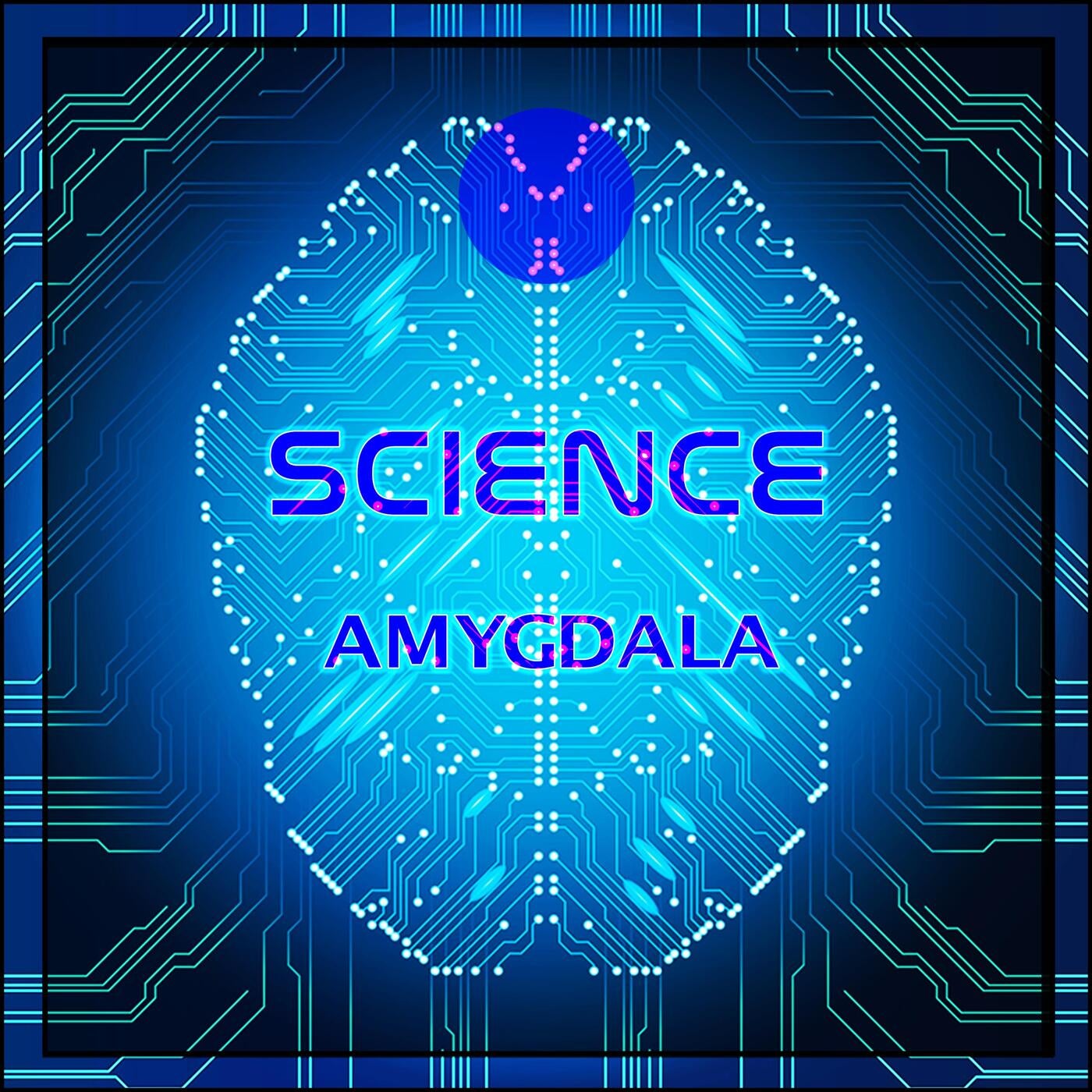 Amygdala