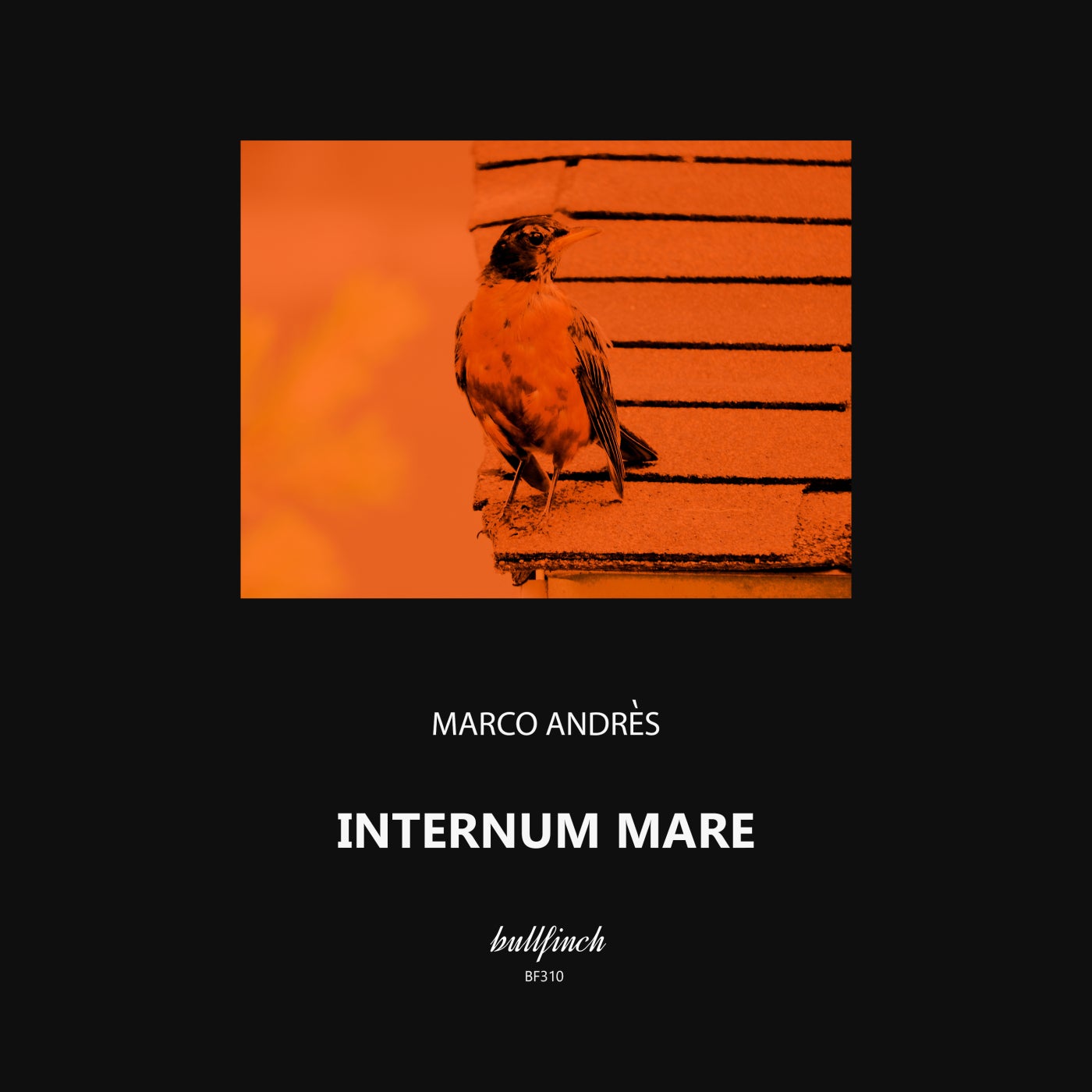 Internum Mare