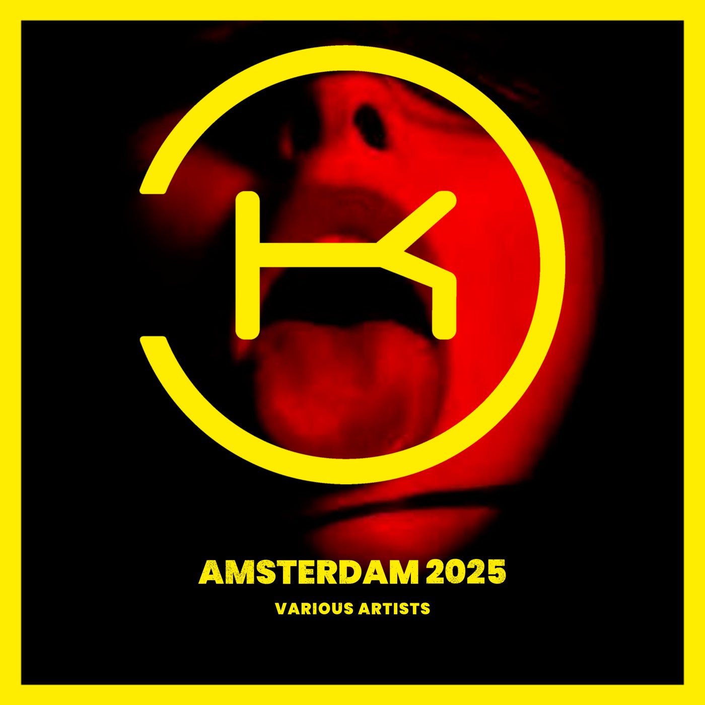 VA – Amsterdam 2025 KLP141C FLAC VA – Amsterdam 2025 KLP141C FLAC