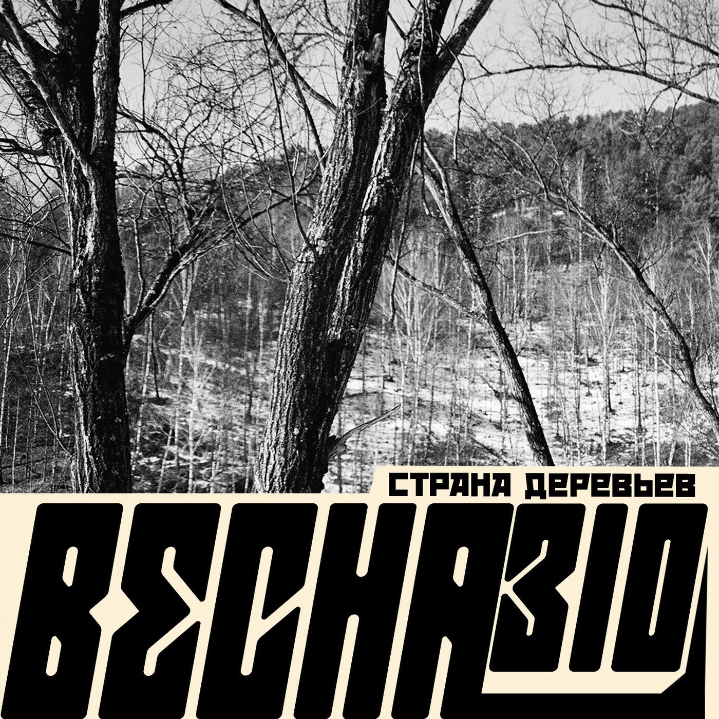 Cover art for Страна деревьев