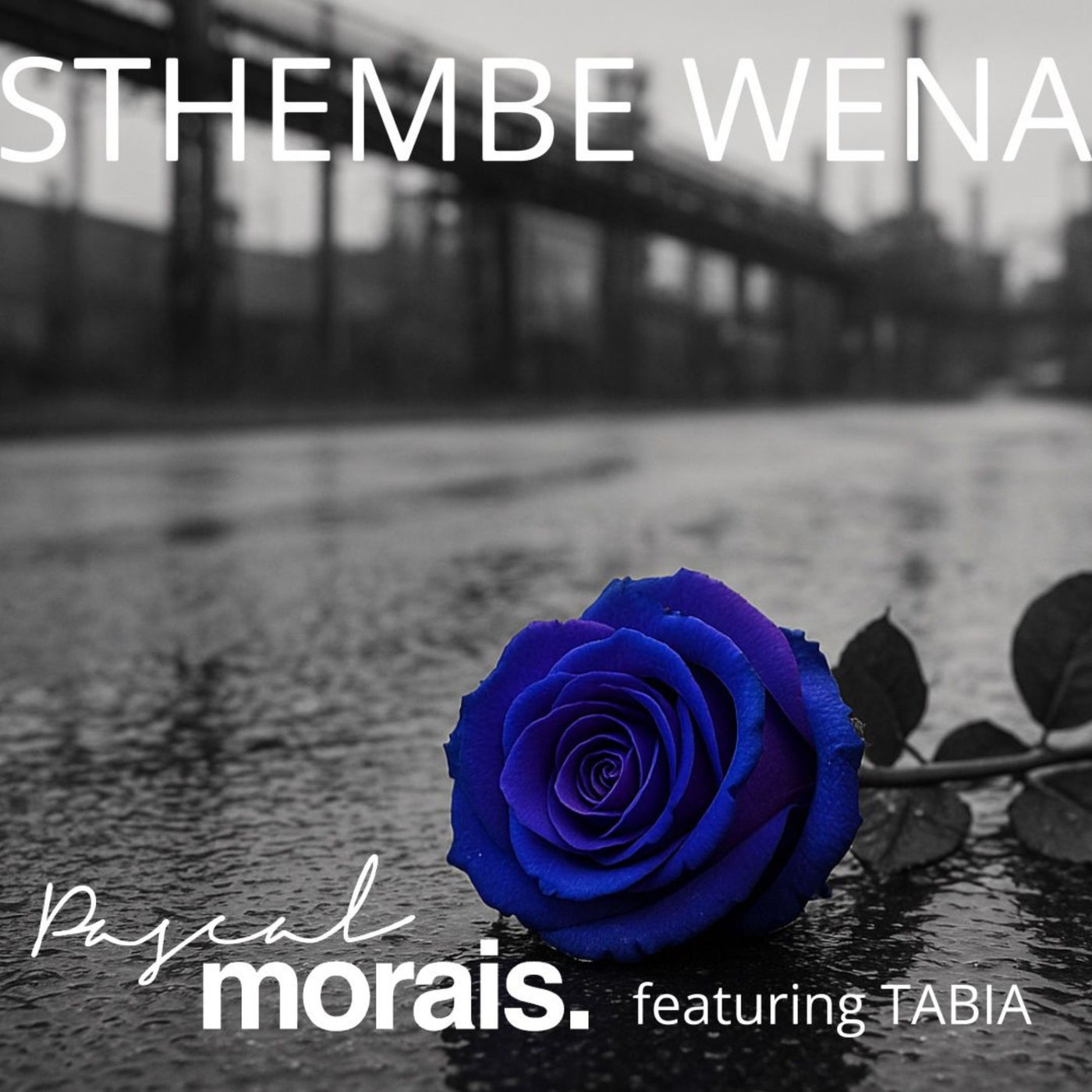 Cover art for Sthembe Wena