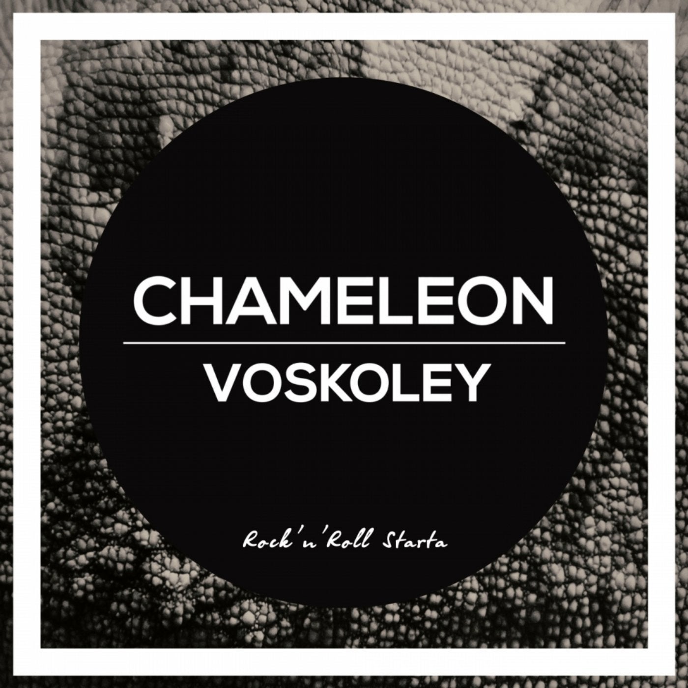 Chameleon