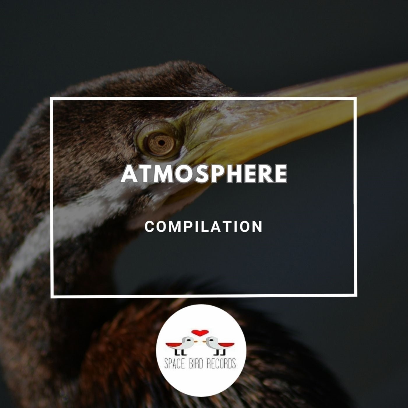 Atmosphere