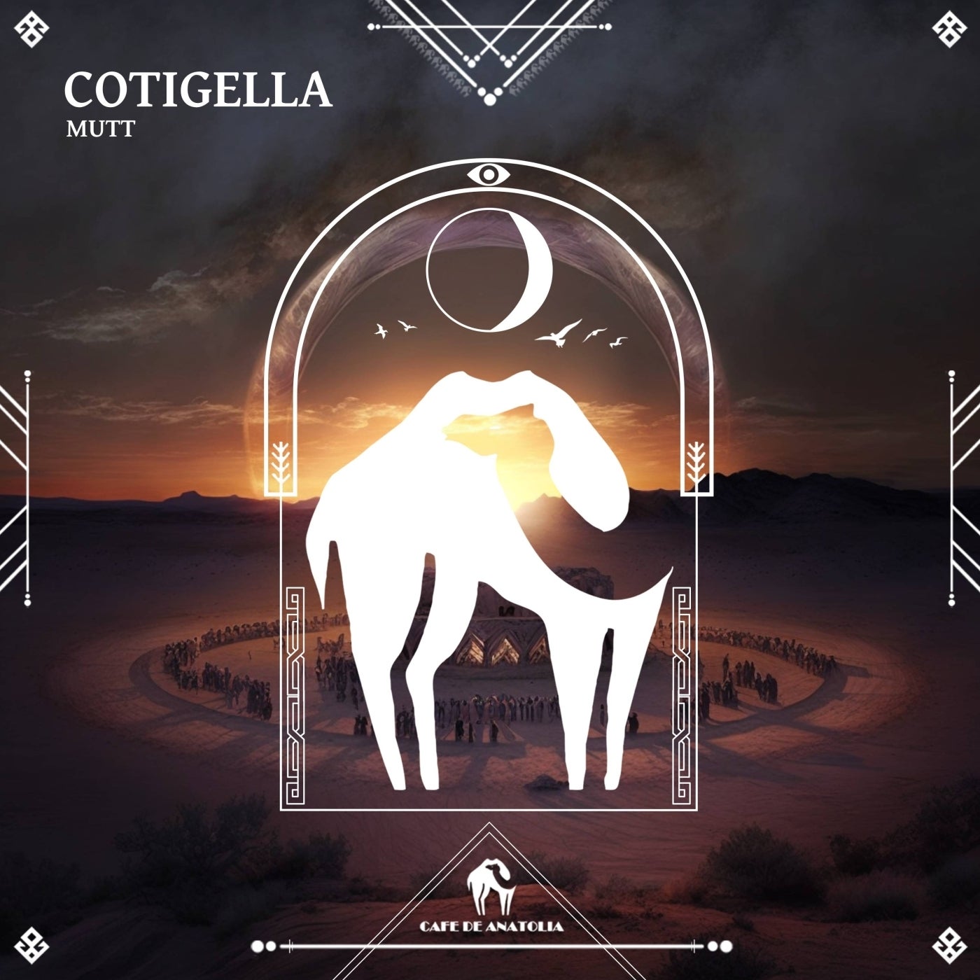 Cotigella