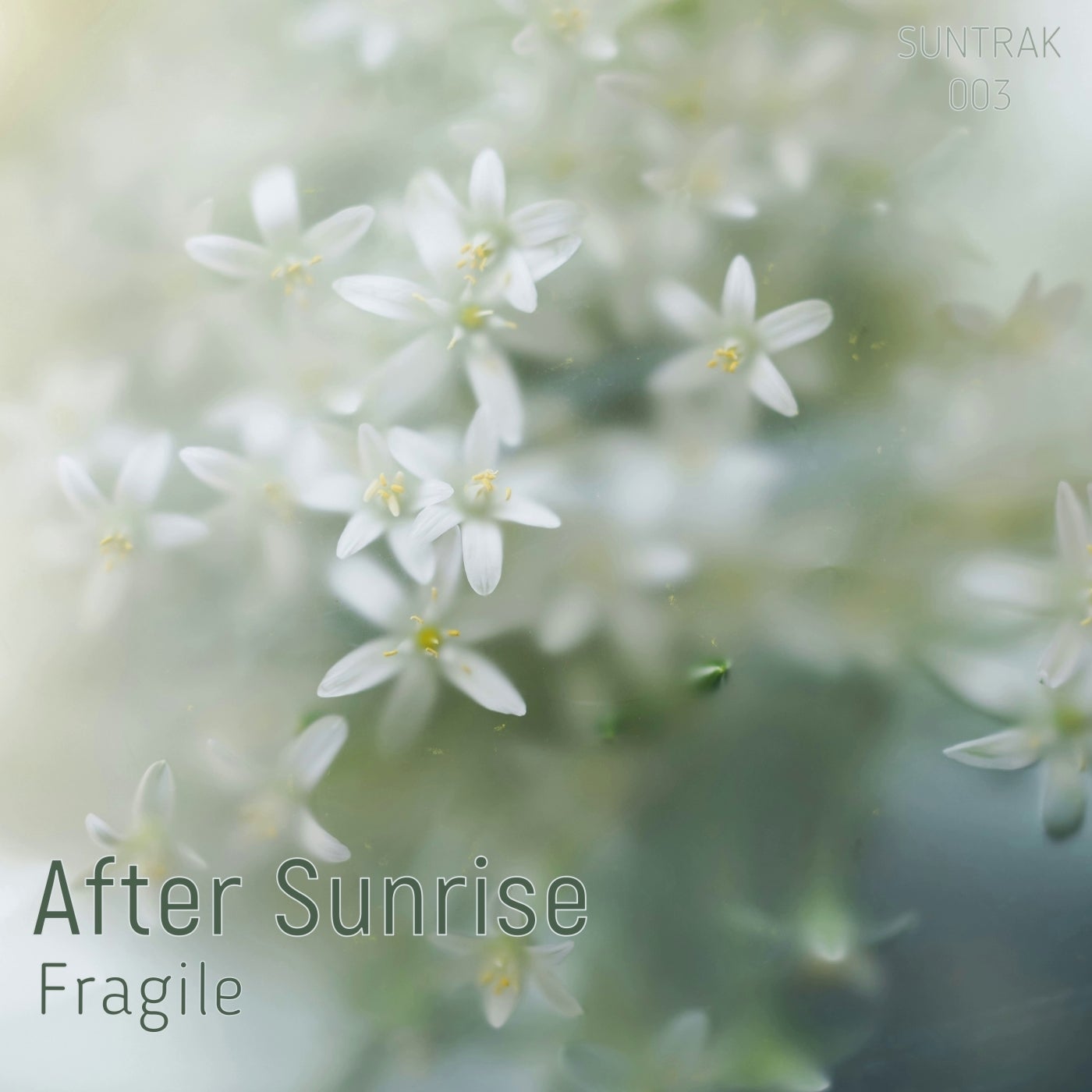 Fragile