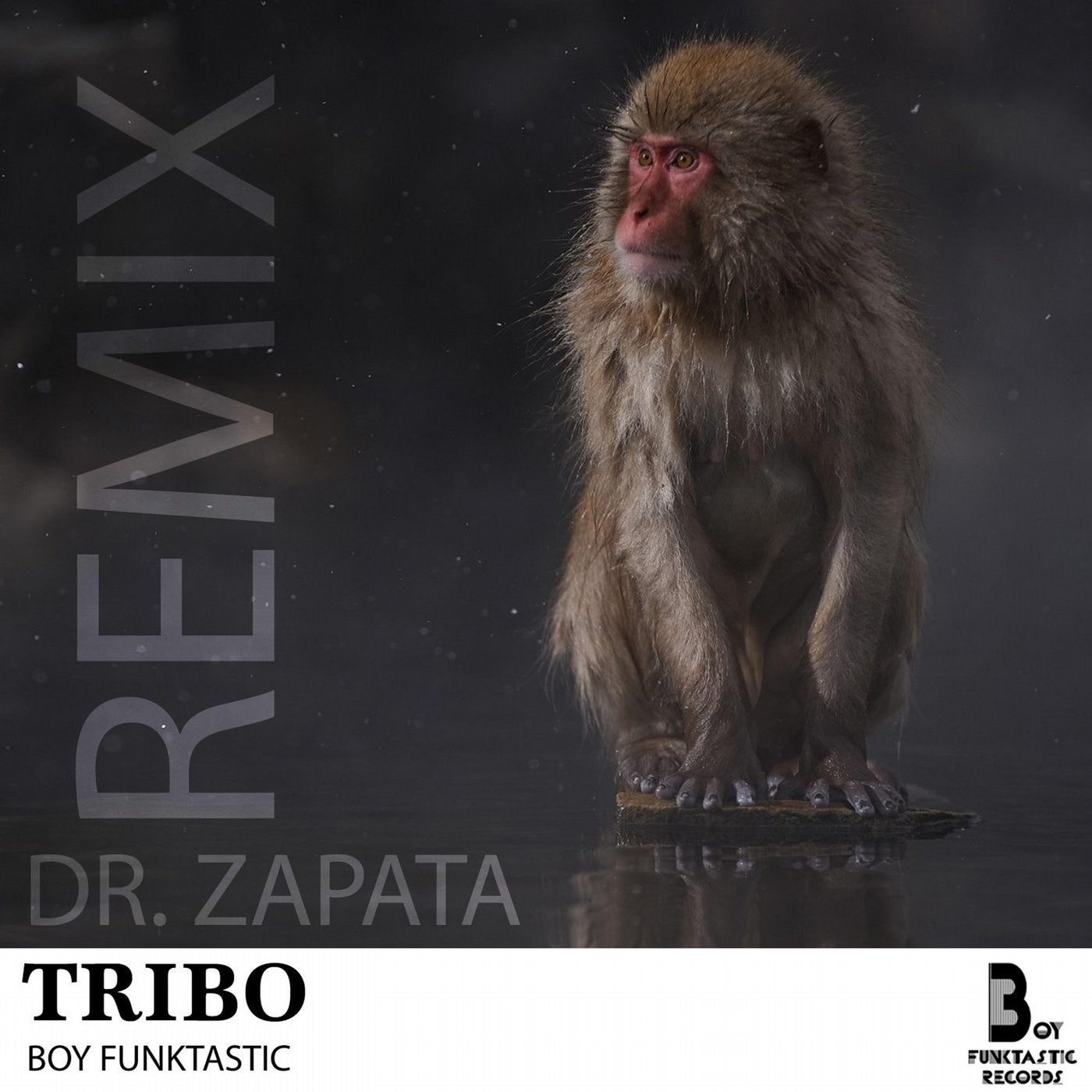 Dr. Zapata Remix - Single