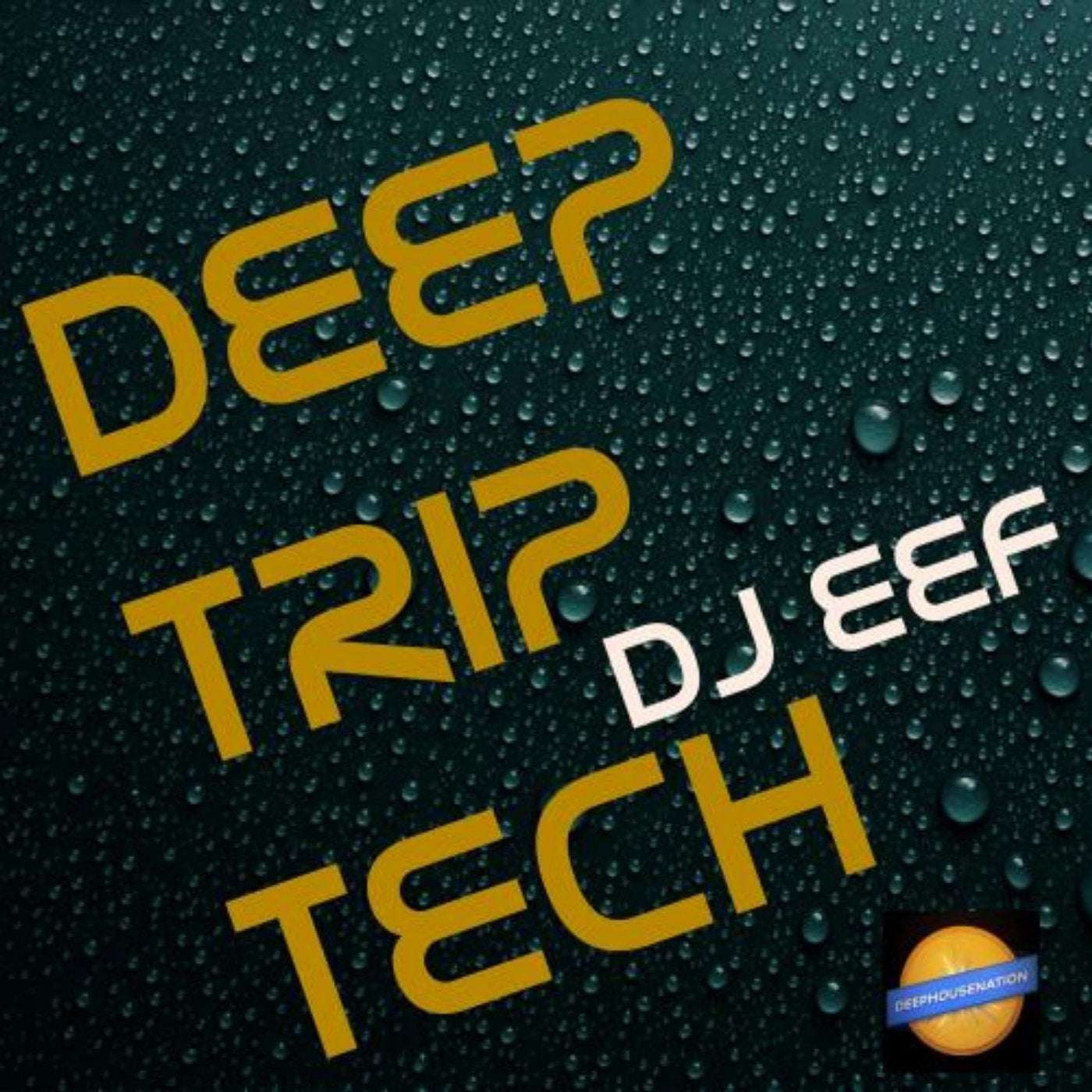 Deep Trip Tech