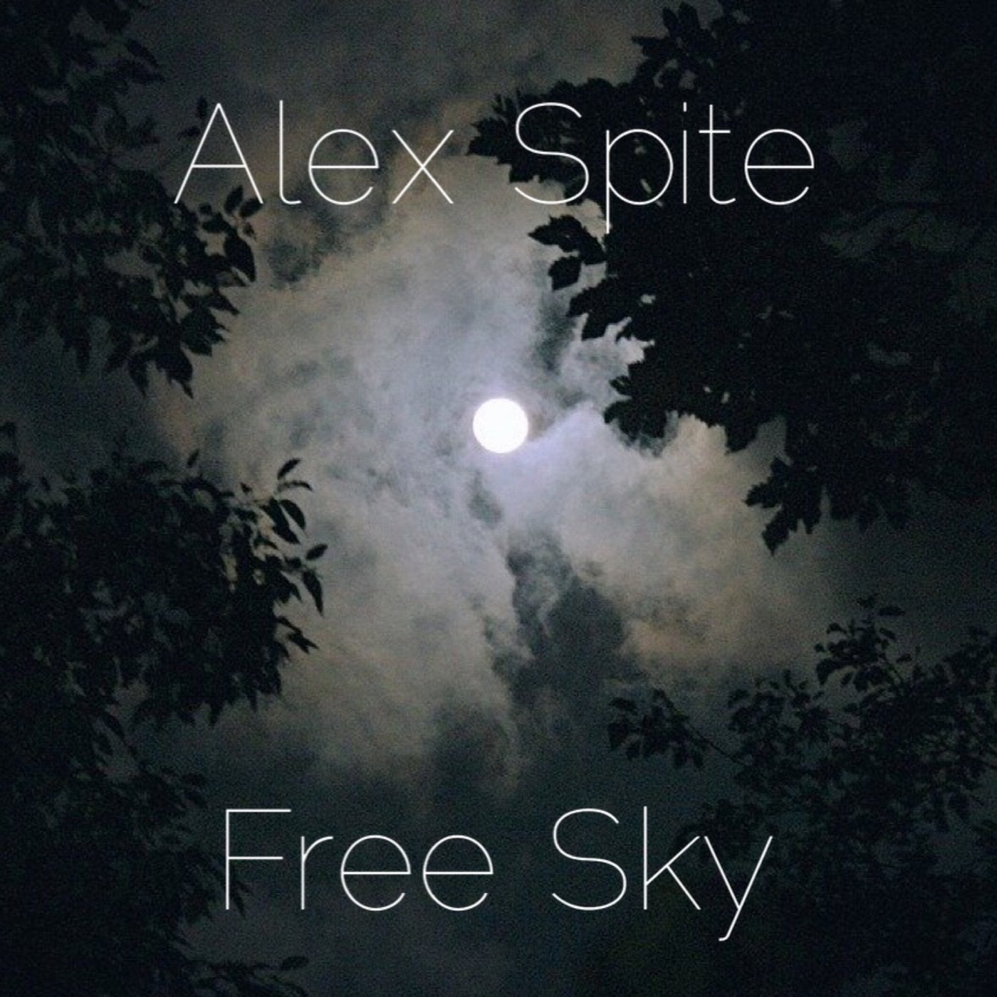 Free Sky