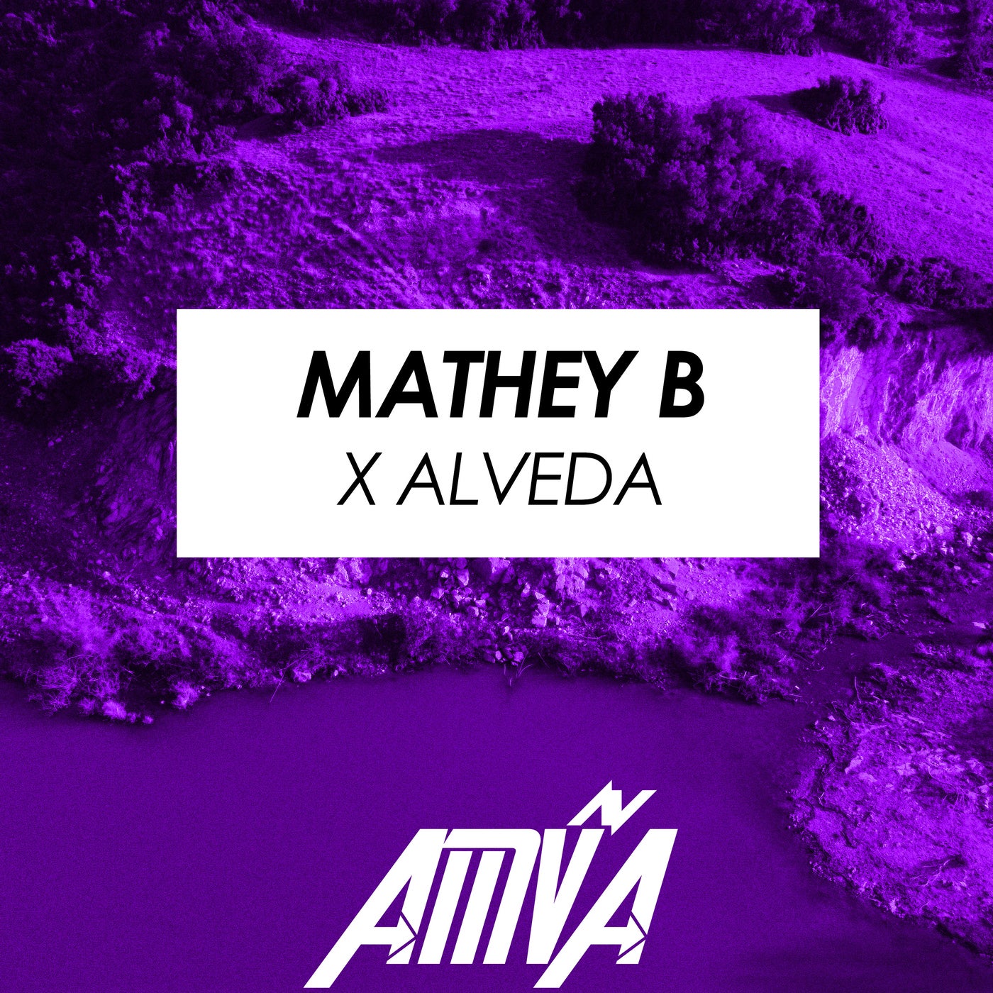 Mathey B x Alveda