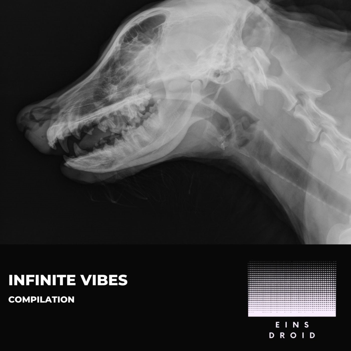 Infinite Vibes