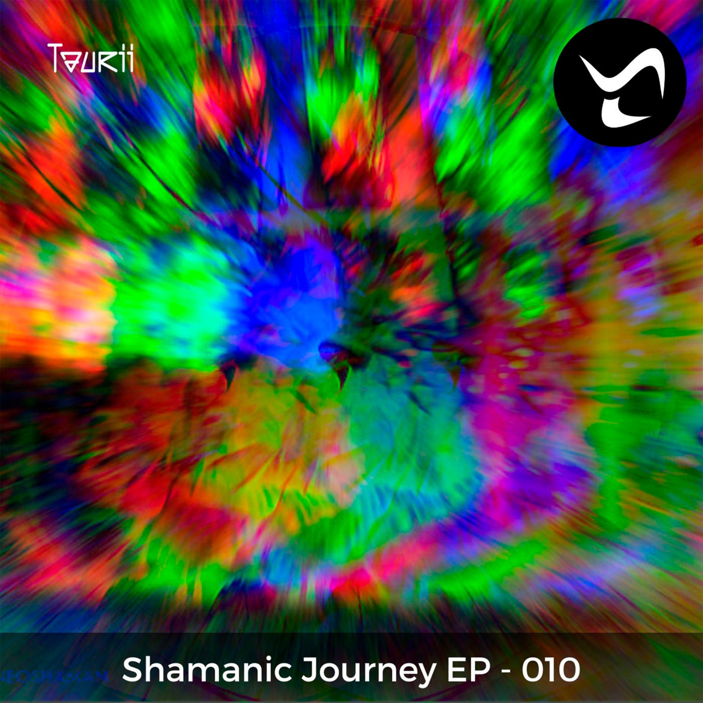 Shamanic Journey X