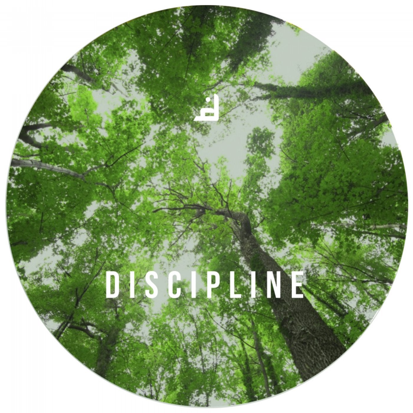 DISCIPLINE003