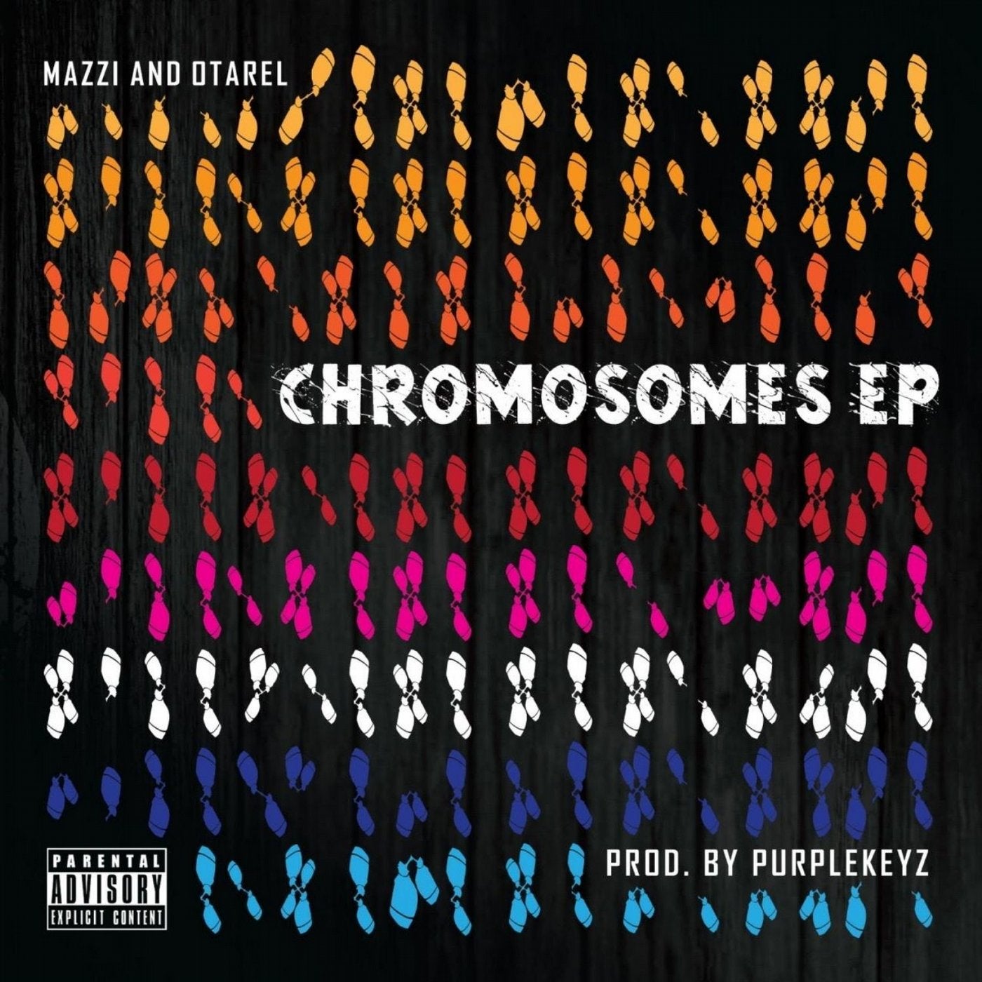 Chromosomes - EP
