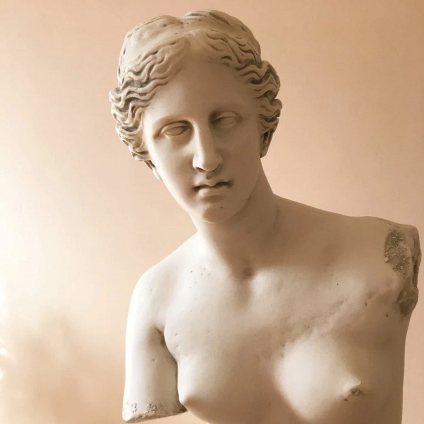 VENUS