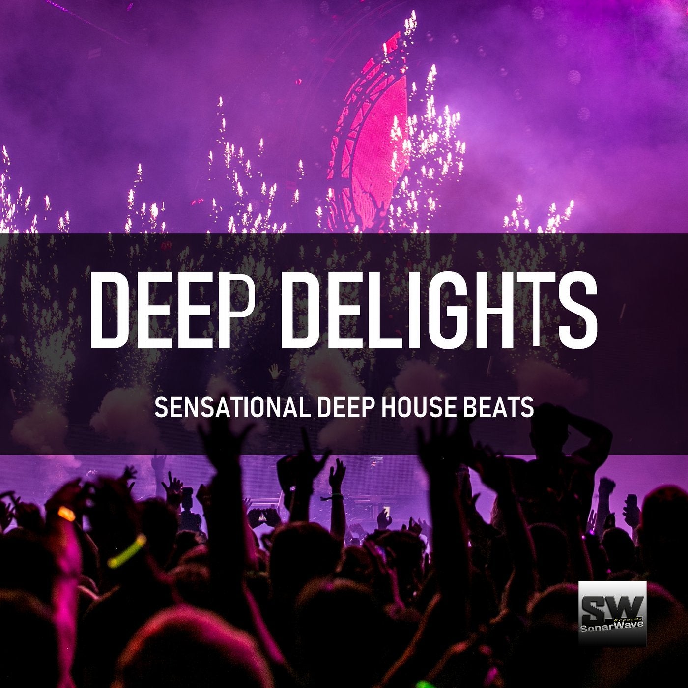 Deep Delights (Sensational Deep House Beats)