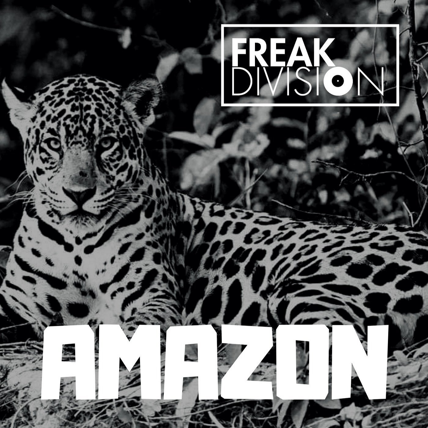 Amazon