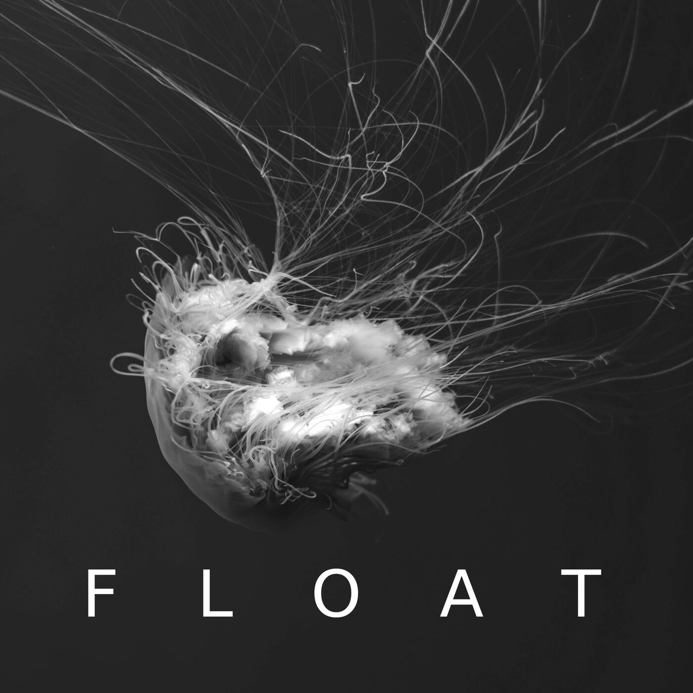 Float