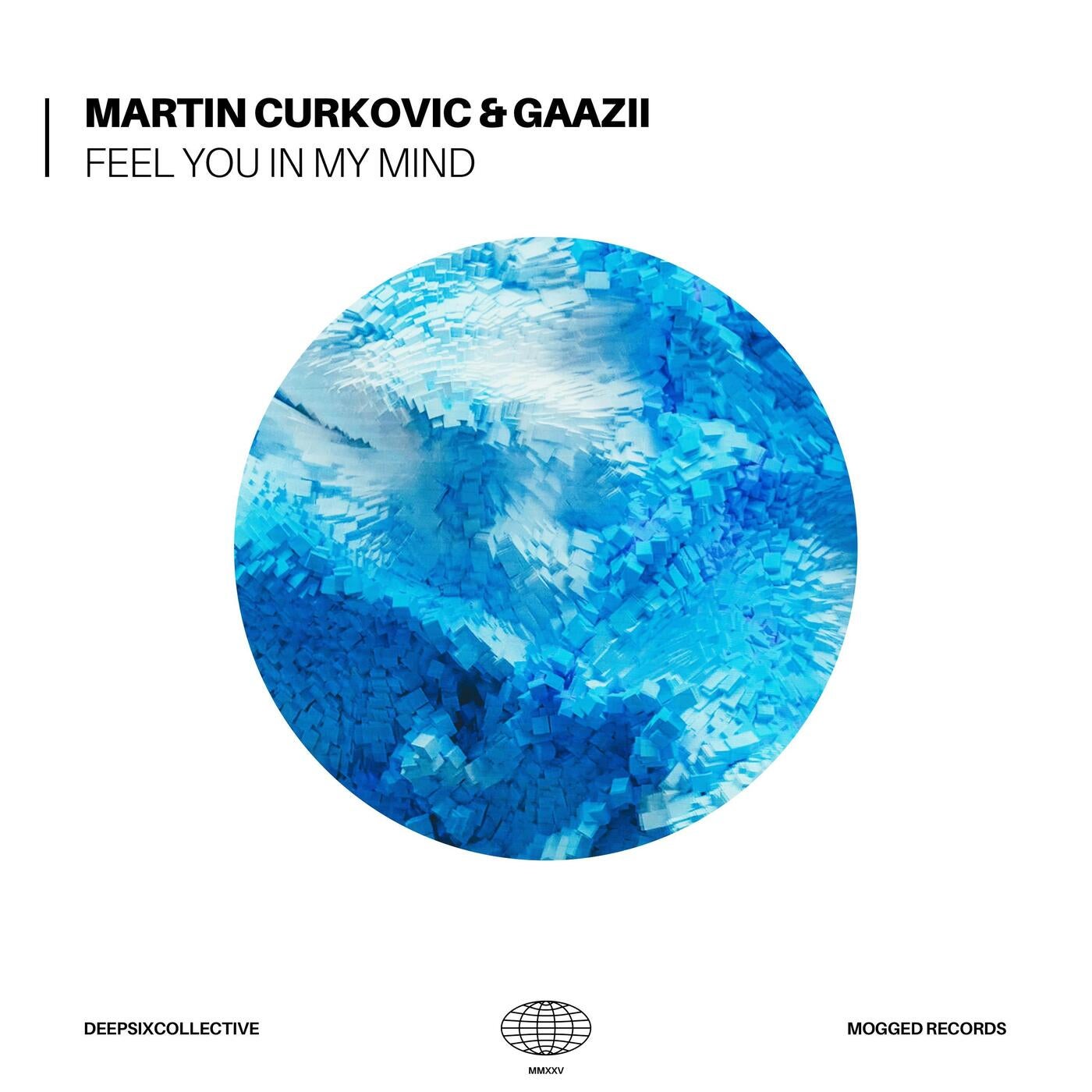 Feel You In My Mind (Extended Mix)