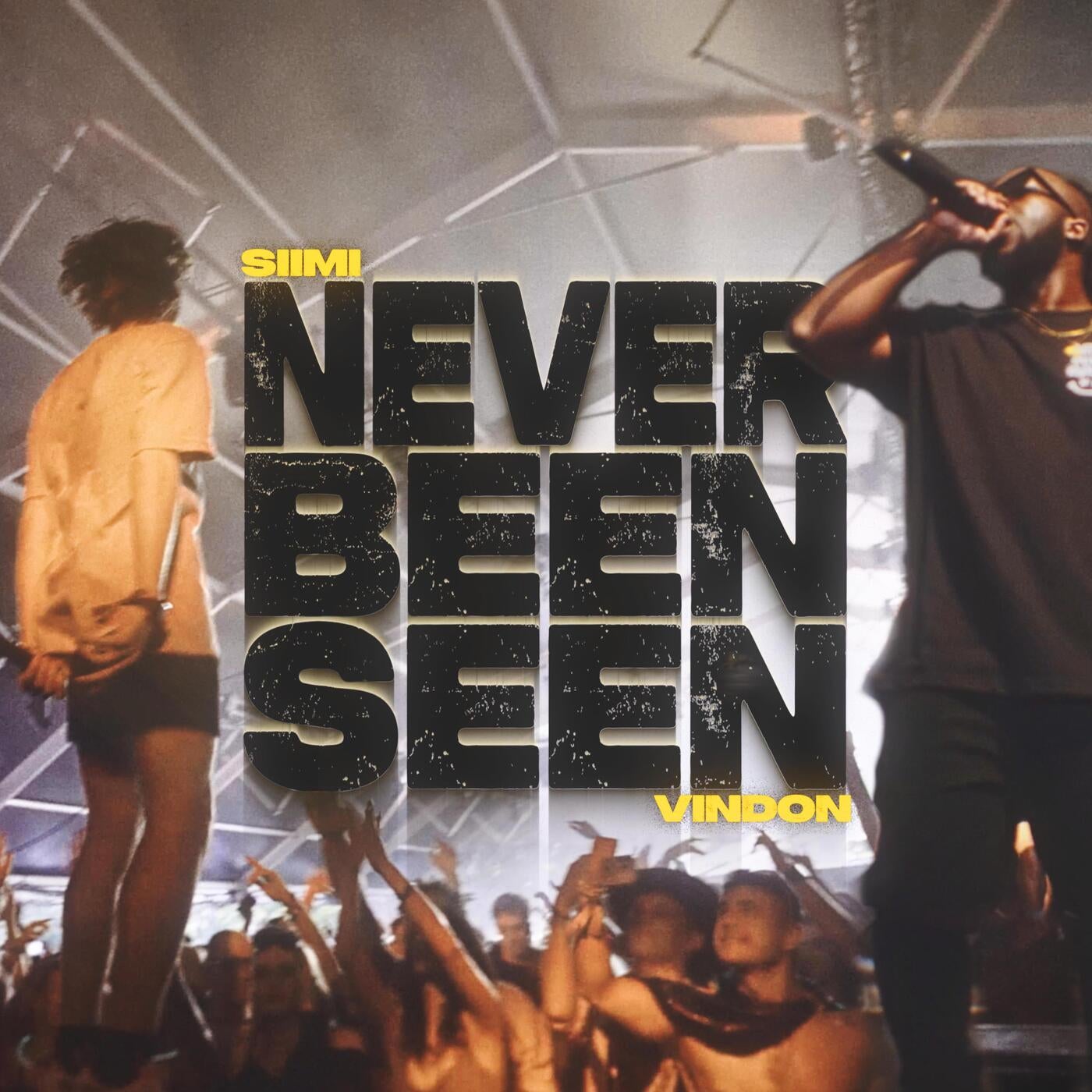 NeverBeenSeen (Extended Mix)
