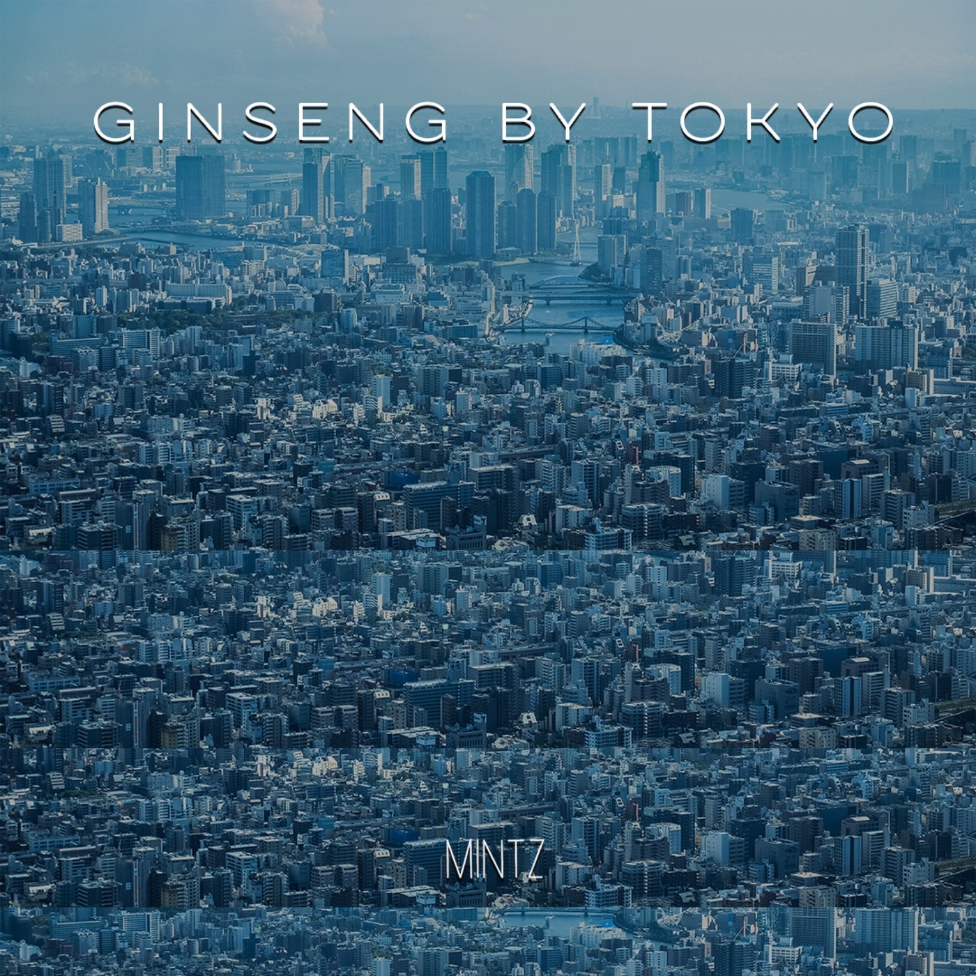 Ginseng By Tokyo