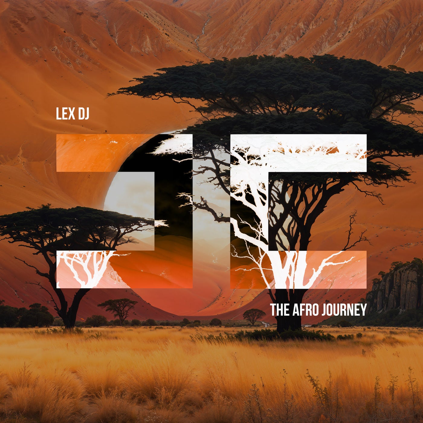 The Afro Journey