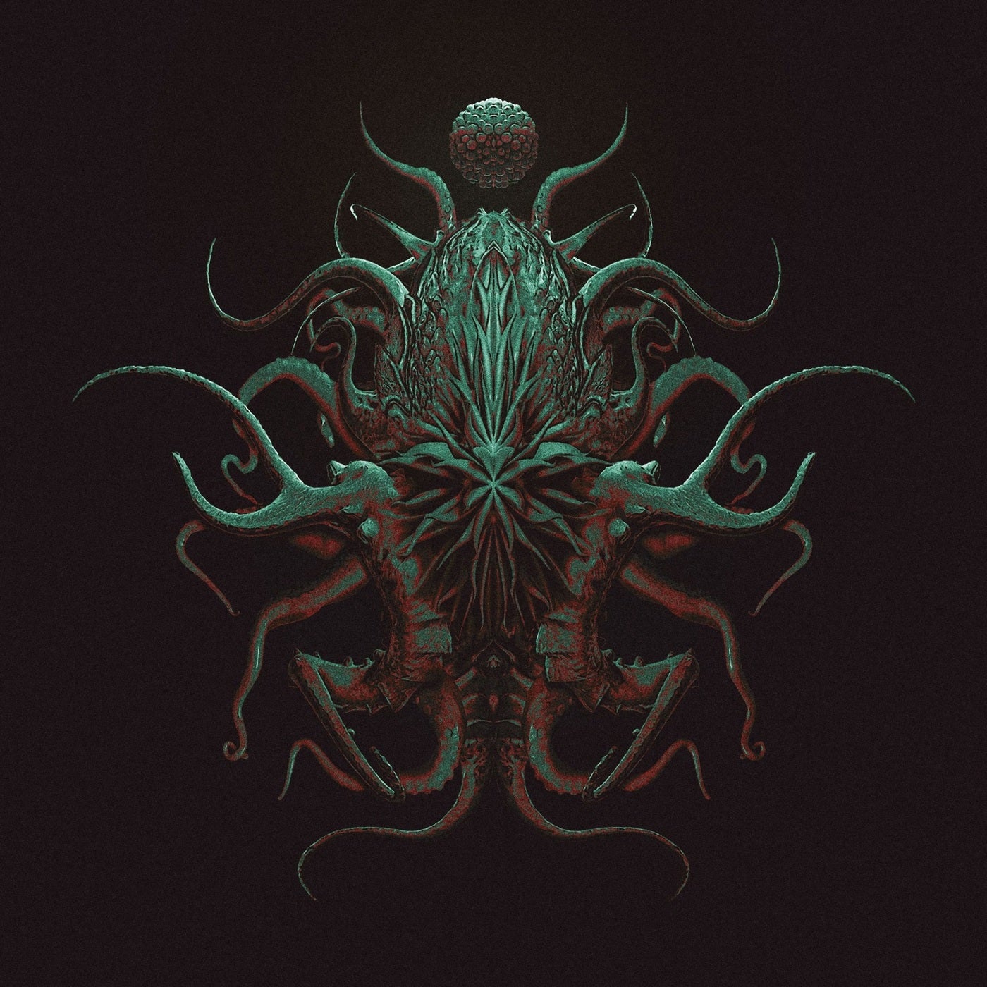Night Squid / Fried