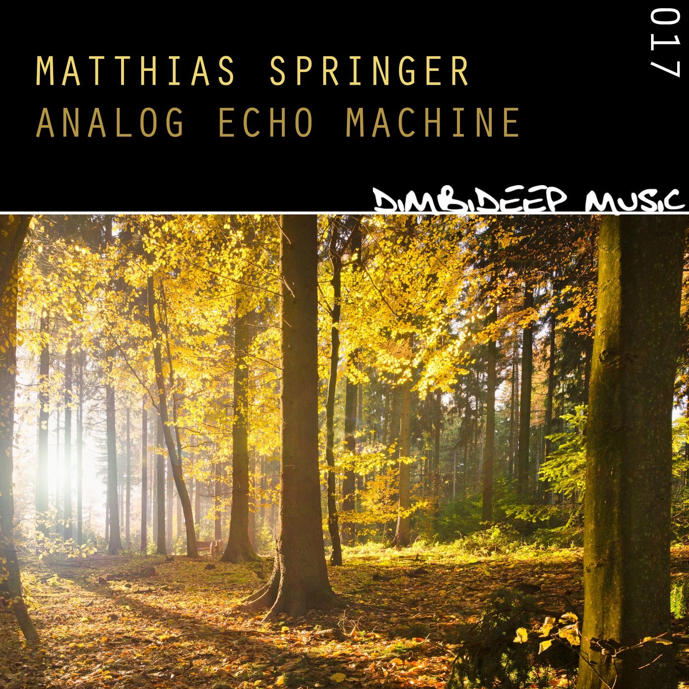 Analog Echo Machine