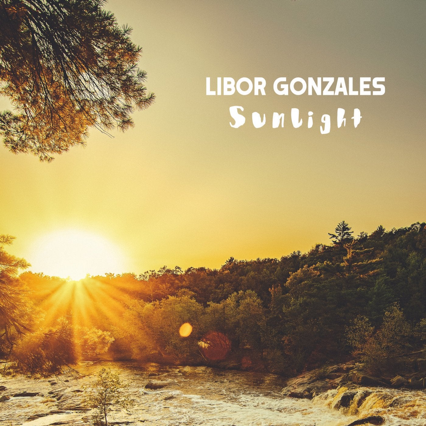 Sunlight