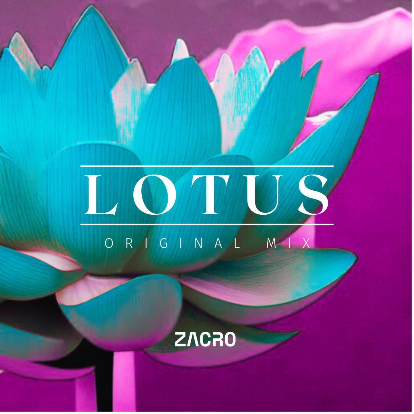 Lotus