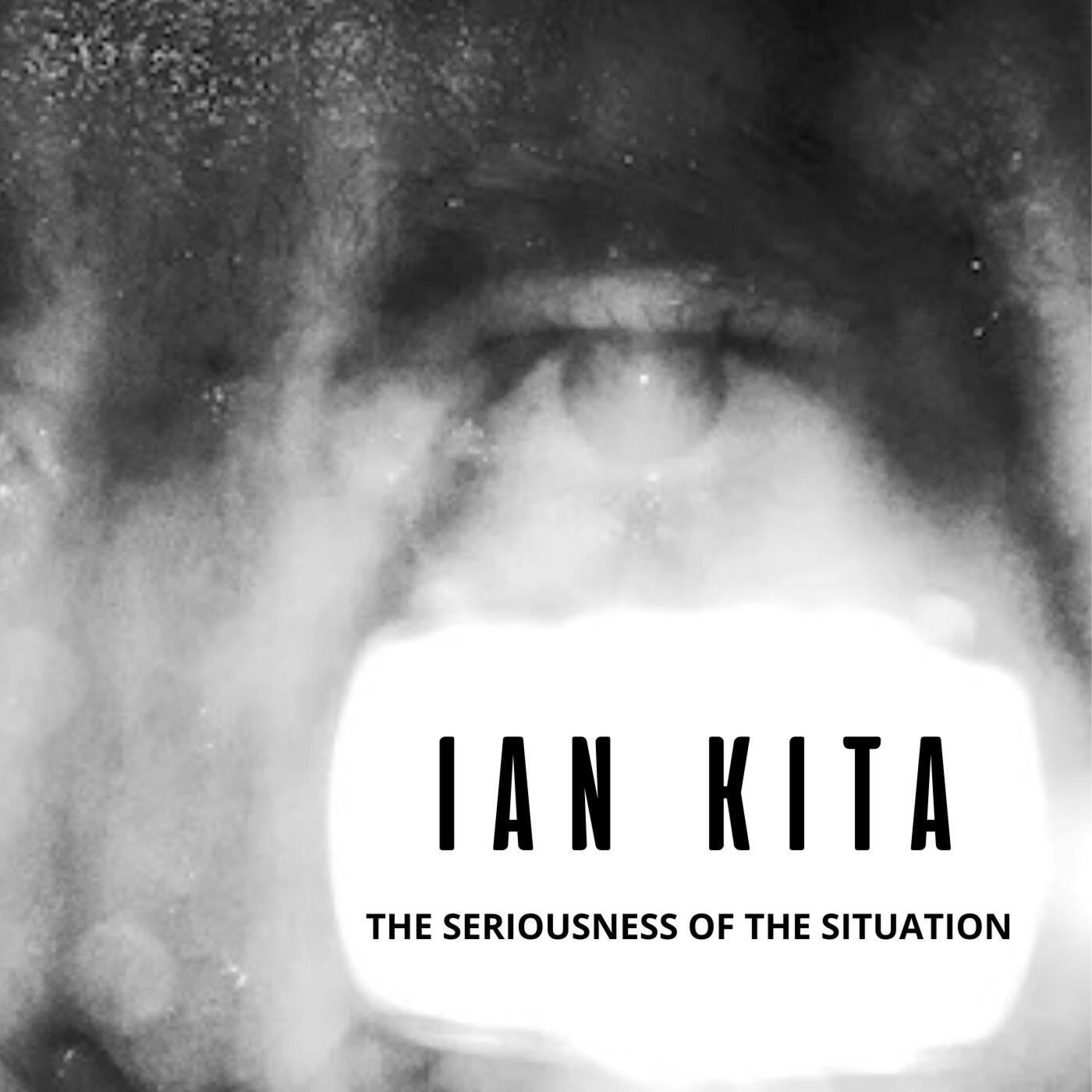 Cover art for The seriousness of the situation