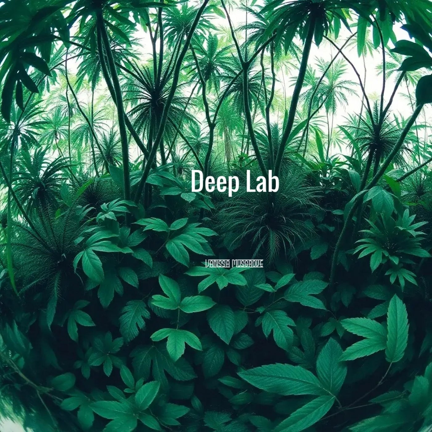 Deep Lab