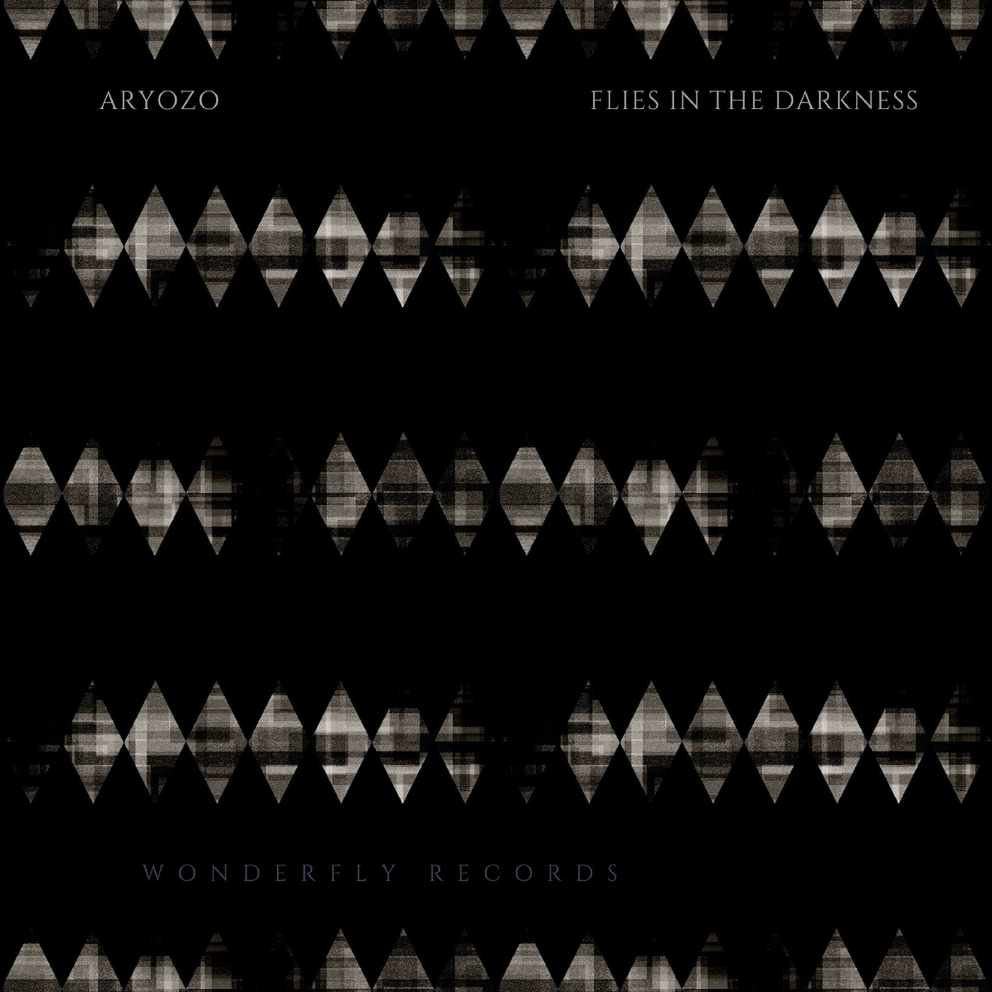 Flies in the darkness
