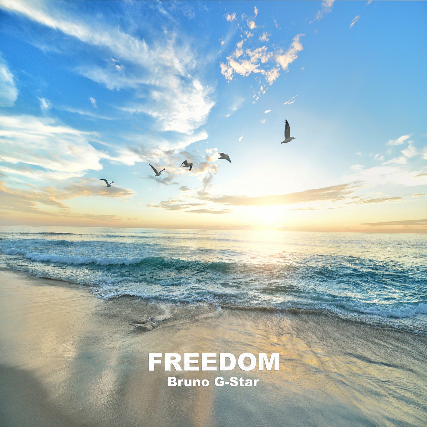 Freedom