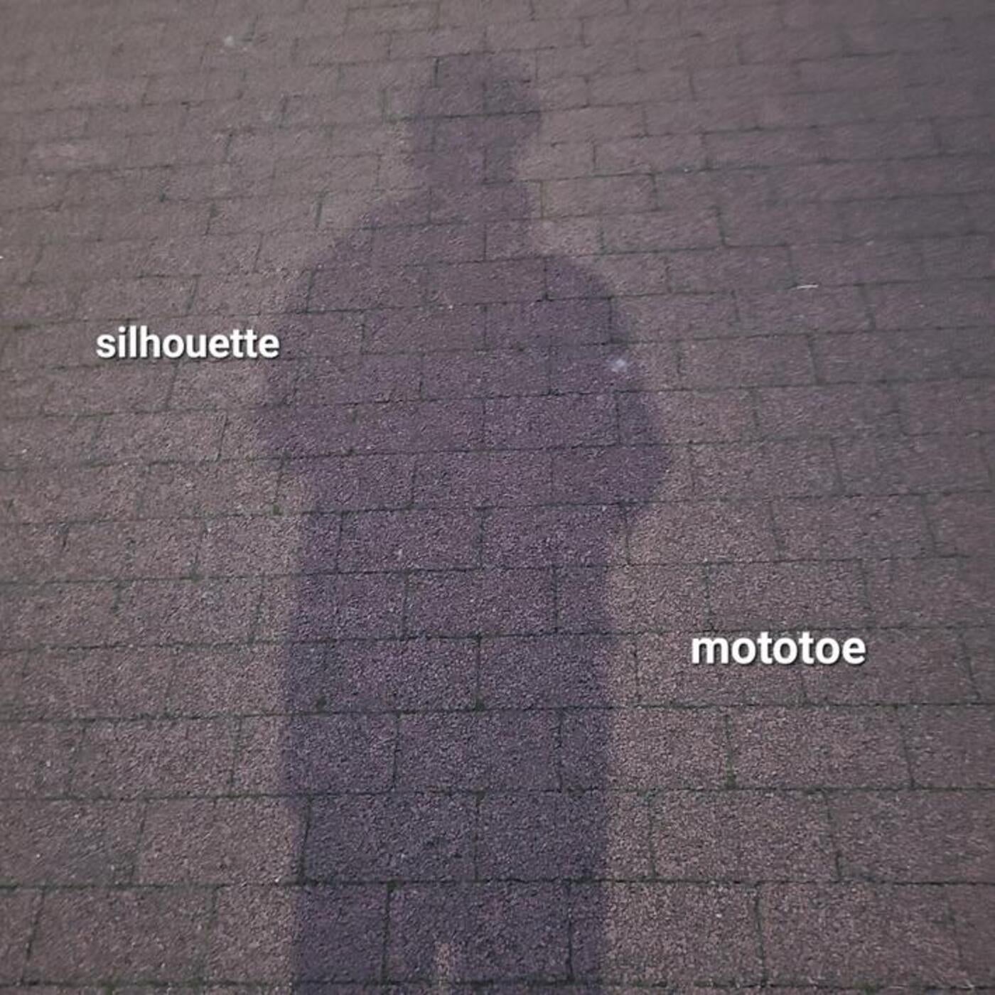 silhouette