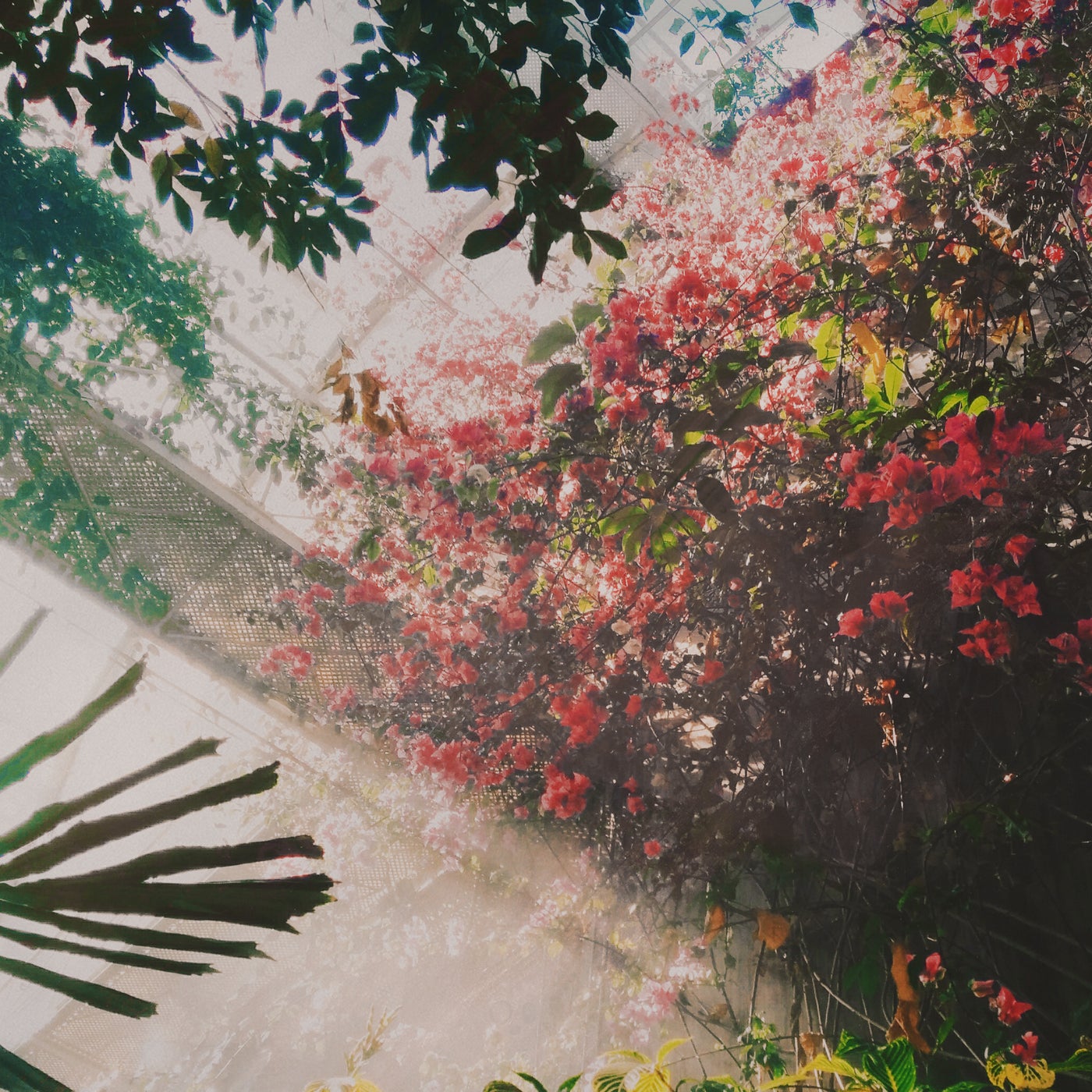 Botanic Garden
