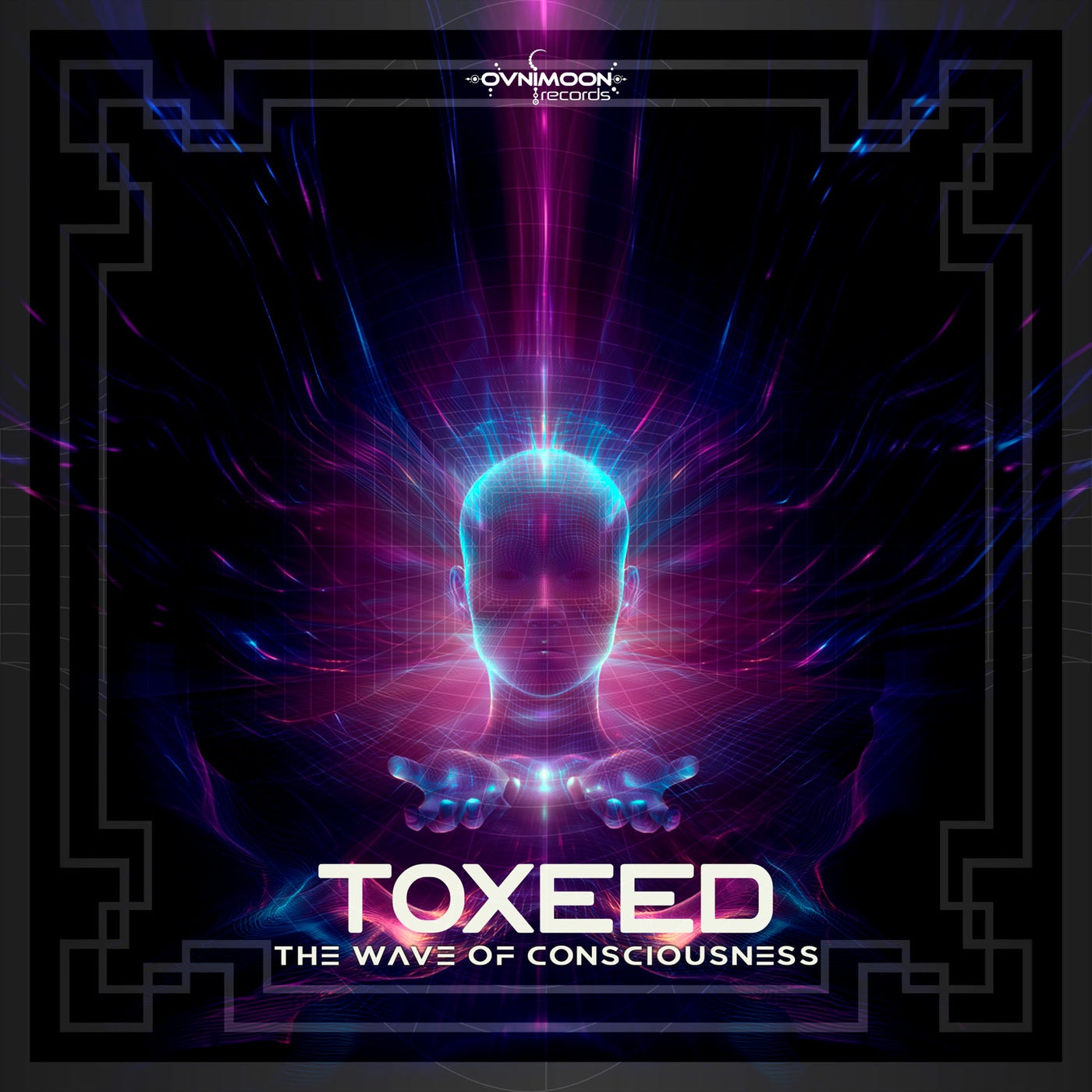 The Wave Of Consciousness