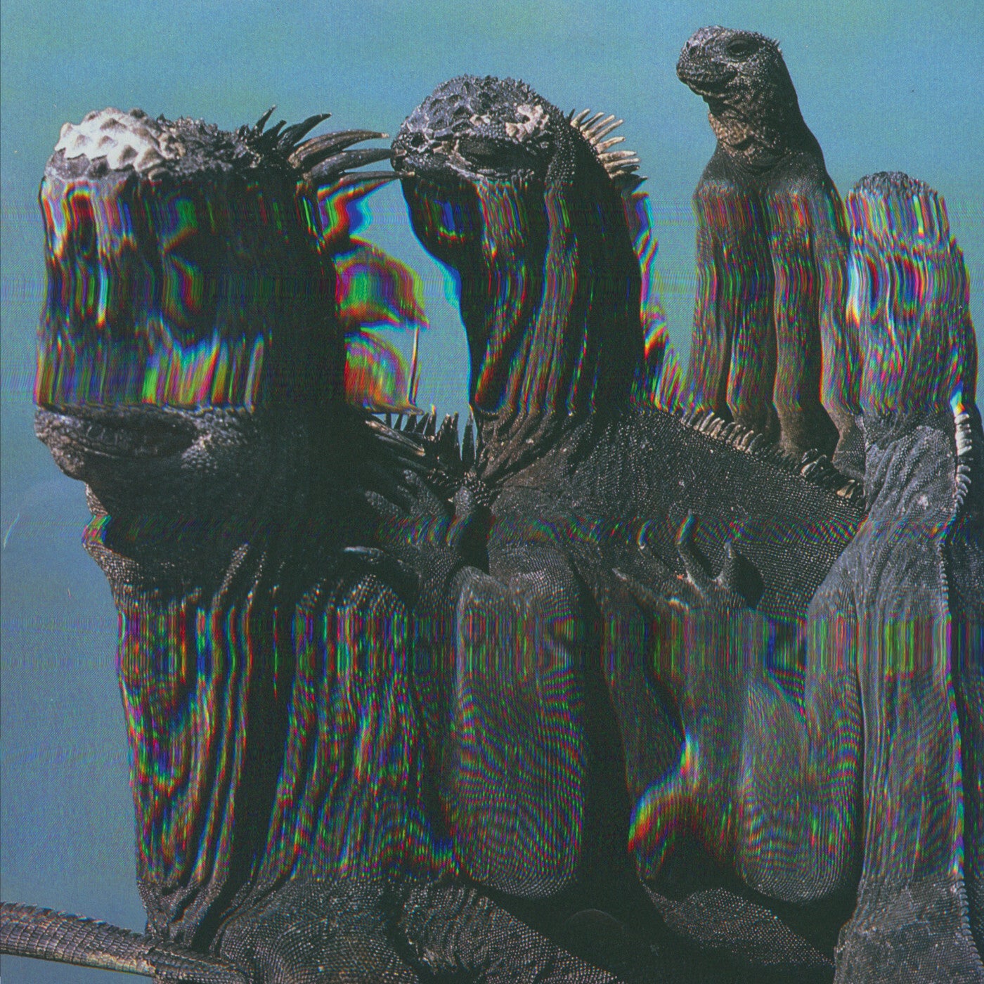 Bass / Club preview 1