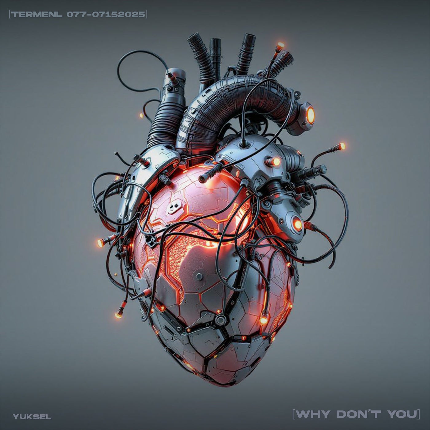 Why Don't You (Extended Mix)