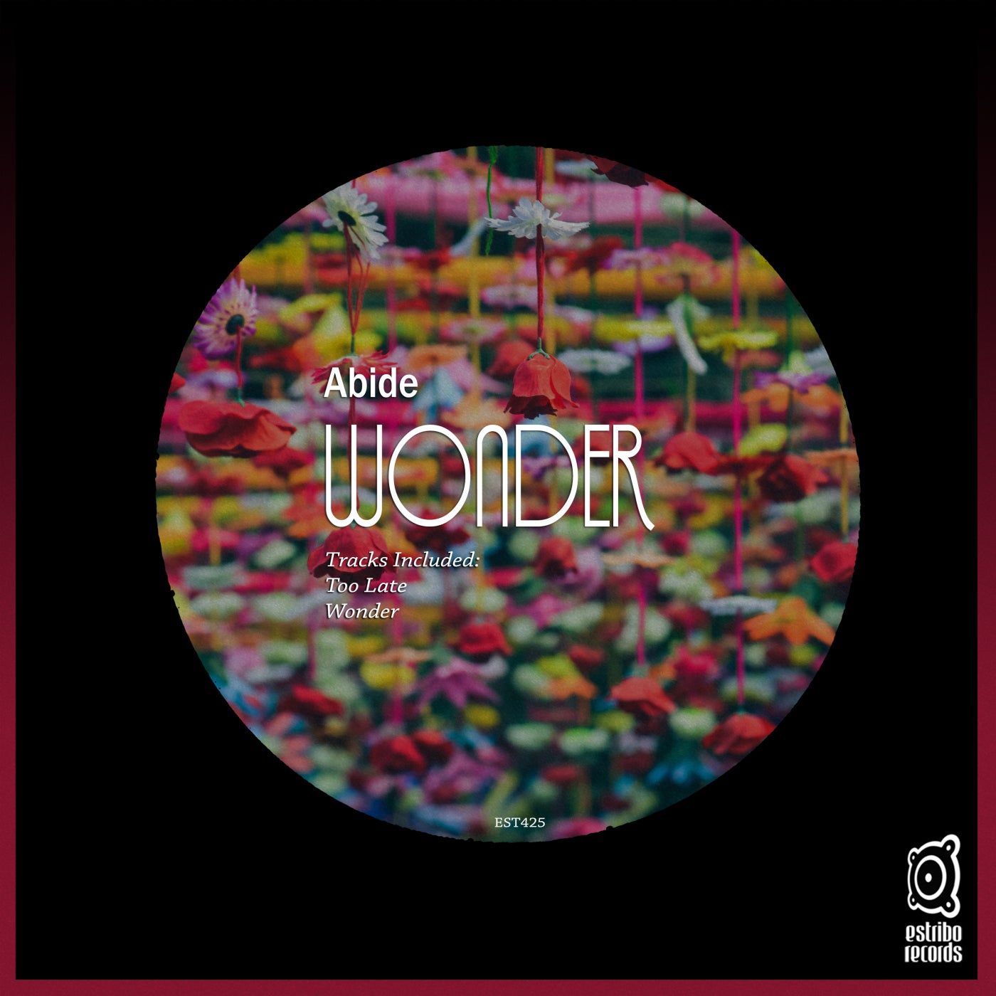 Wonder