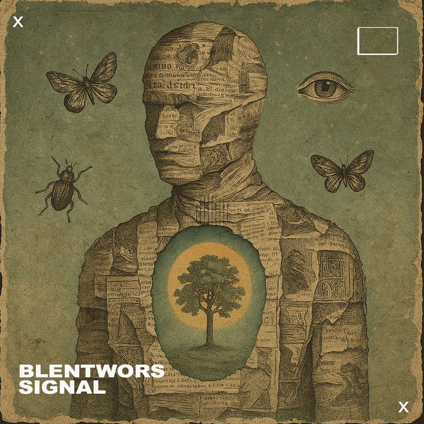 Signal