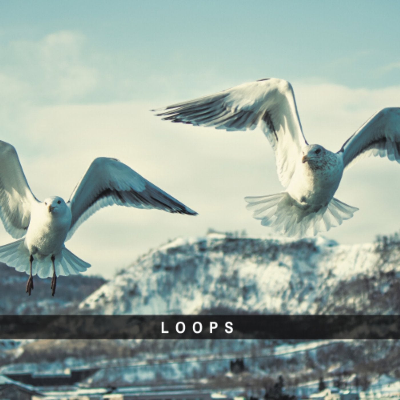 Loops