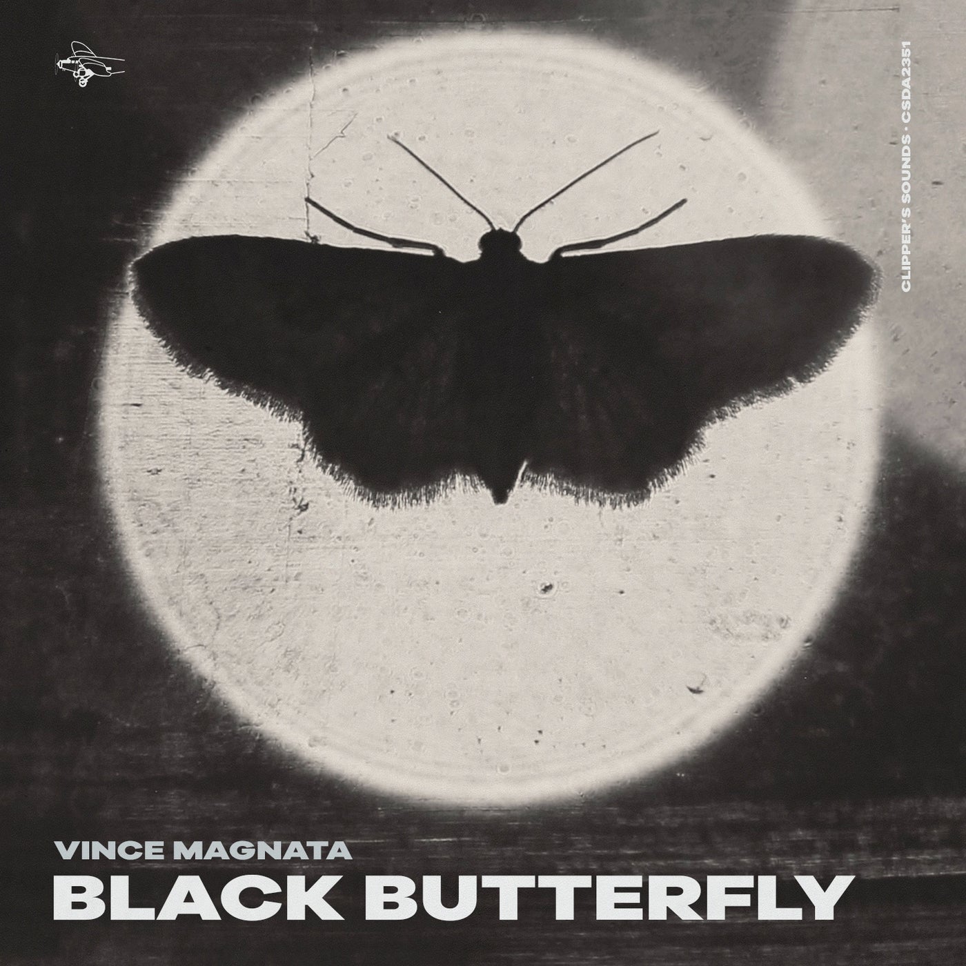 Black Butterfly