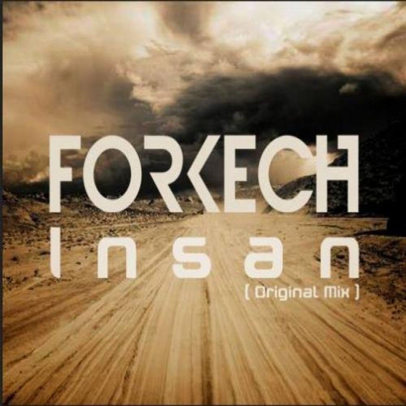 Insan