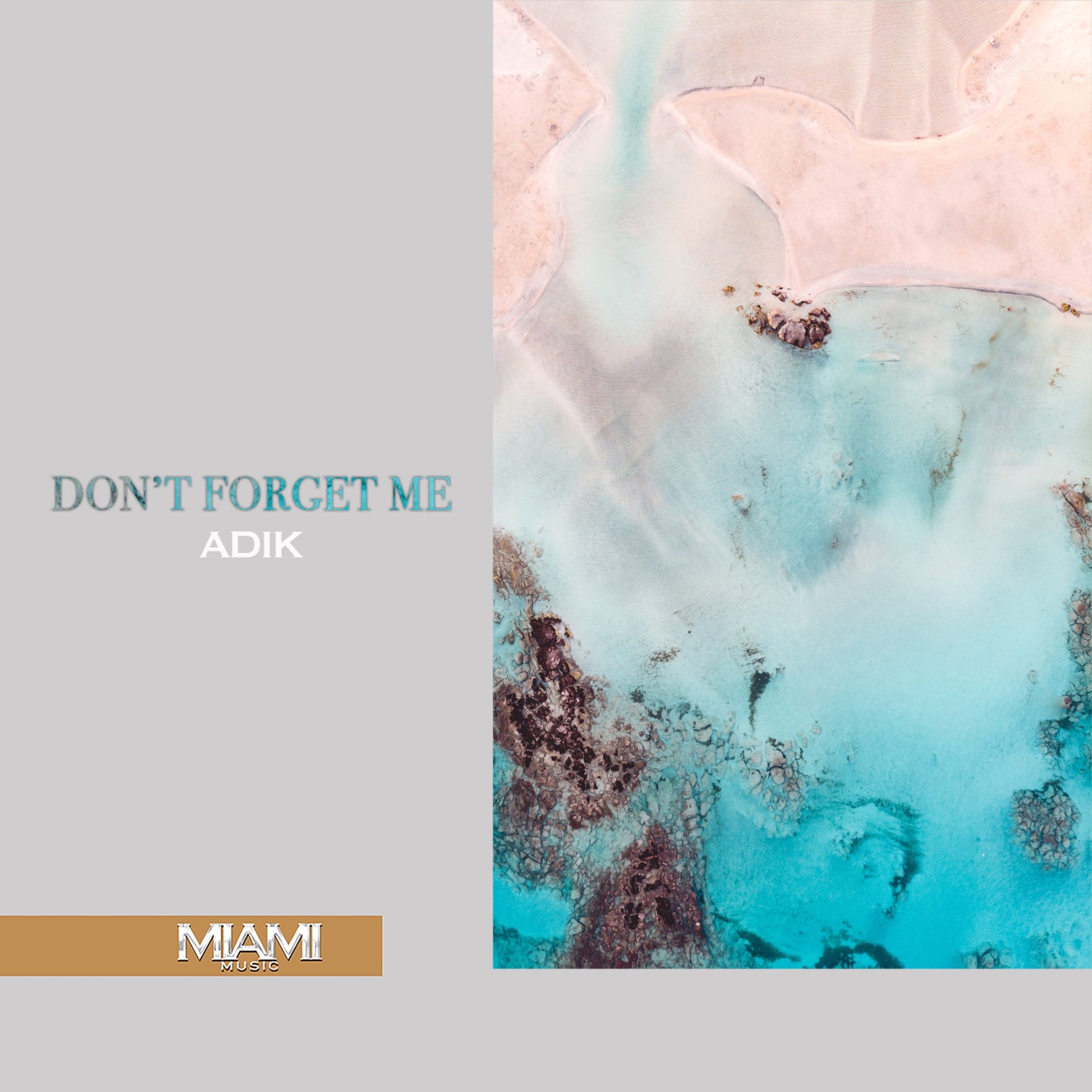 Don't Forget Me