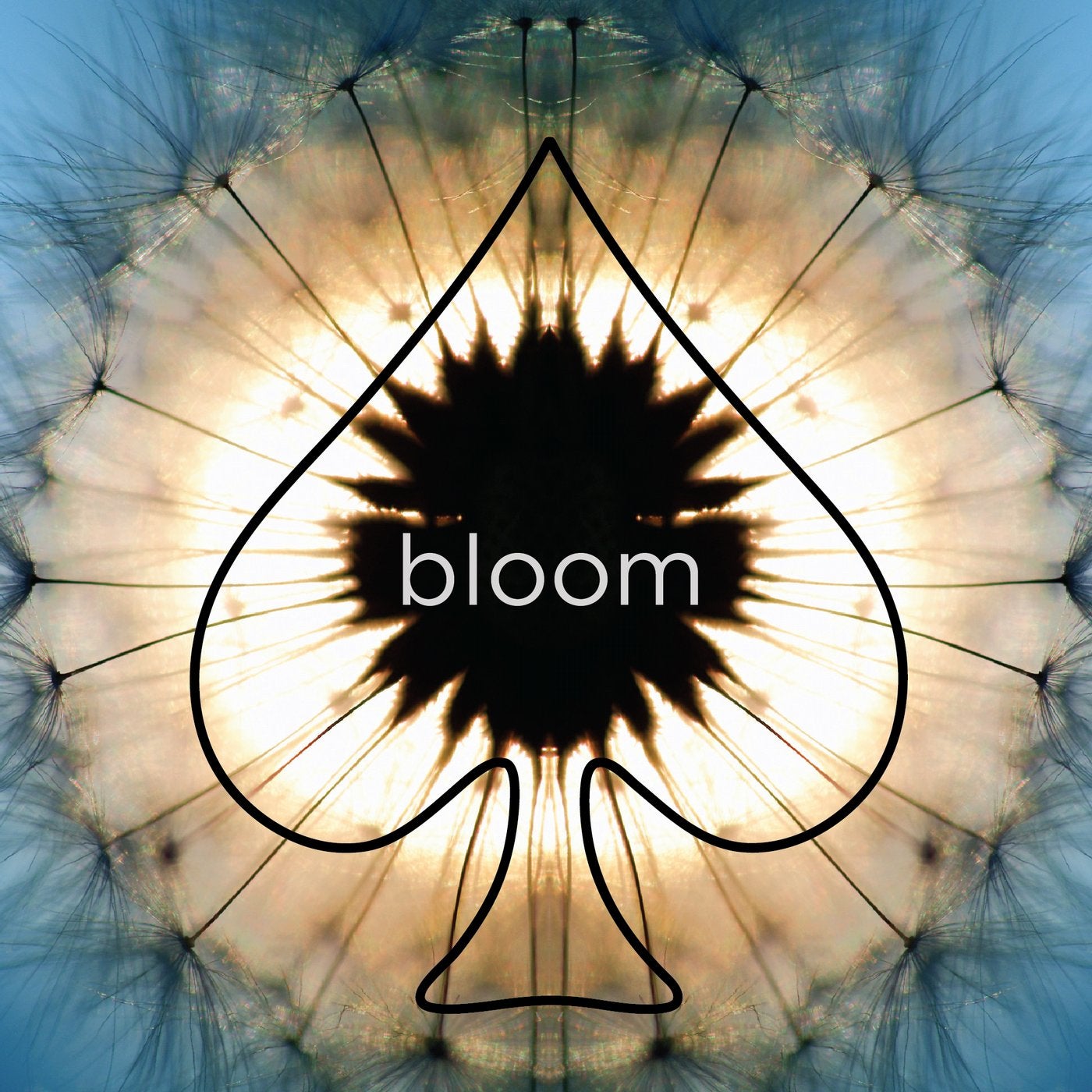 Bloom