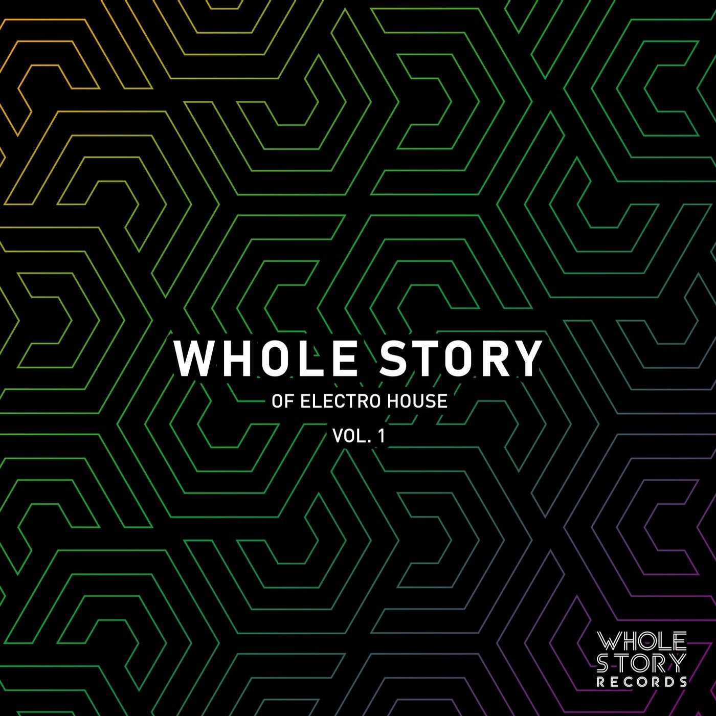 Whole Story Of Electro House Vol. 1
