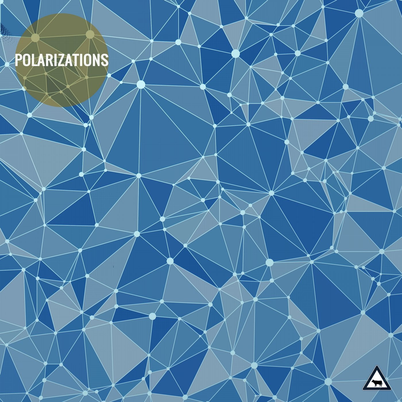 Polarizations